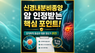 신경내분비종양 D375코드 C20코드 일반암진단비 분쟁 해결 손해사정사.png
