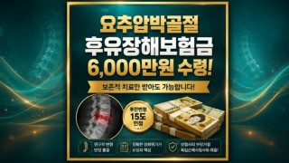 교통사고 요추압박골절 후유장해보험금 6천만원 받은사례 알아보세요 17년차 베테랑 손해사정사가 설명드립니다.jpg