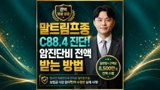 C884 말트림프종 고액암진단비 전액 지급받는방법 손해사정사상담.png
