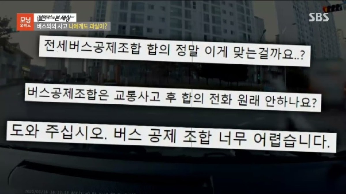 2024.01.15. 버스와의 사고 나에게도 과실이 - 김지윤손해사정사 SBS모닝와이드 3부 8278회 출연 [블랙박스로 본 세상].jpg