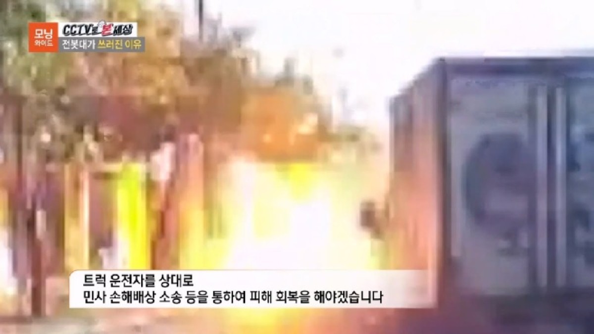 2024.05.30. 전봇대가 쓰러진 이유- 김지윤손해사정사 SBS모닝와이드3부 8376회 출연 [CCTV로 본 세상].jpg