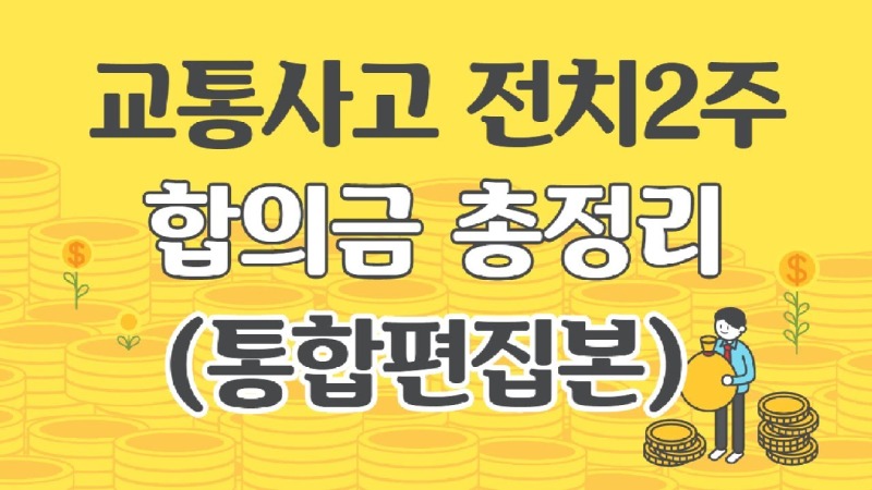 2020.07.01. [사건사고TV 60화] 교통사고 전치2주 합의금 유튜브 시리즈 총정리 손해사정사가 밝히는 보상 실무 가이드.jpg