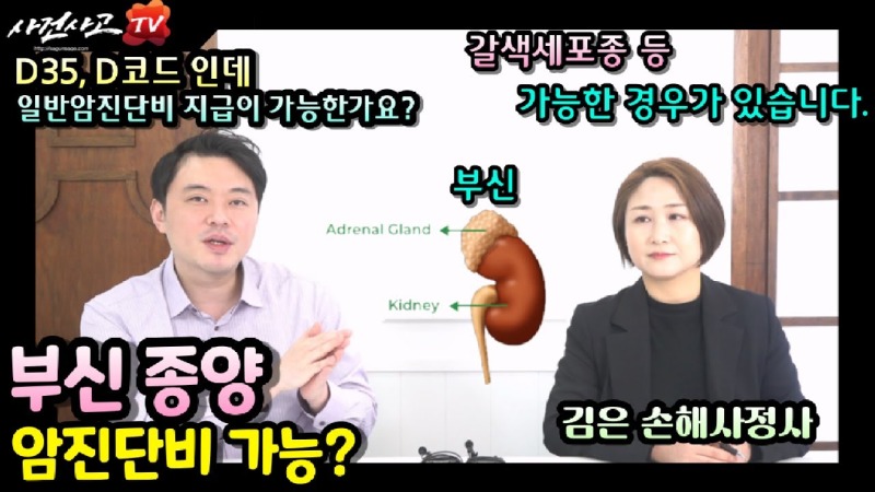 2023.12.25. [사건사고TV 438화] 부신종양 D35 양성종양 진단받으셨나요 - 암이 아니라고 보험금이 거절된 경우 일반암진단비를 받아내는 실무 노하우.jpg